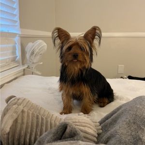 Meet your Posher, Kailee